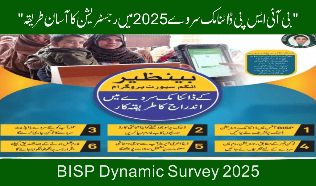BISP Dynamic Survey 2025