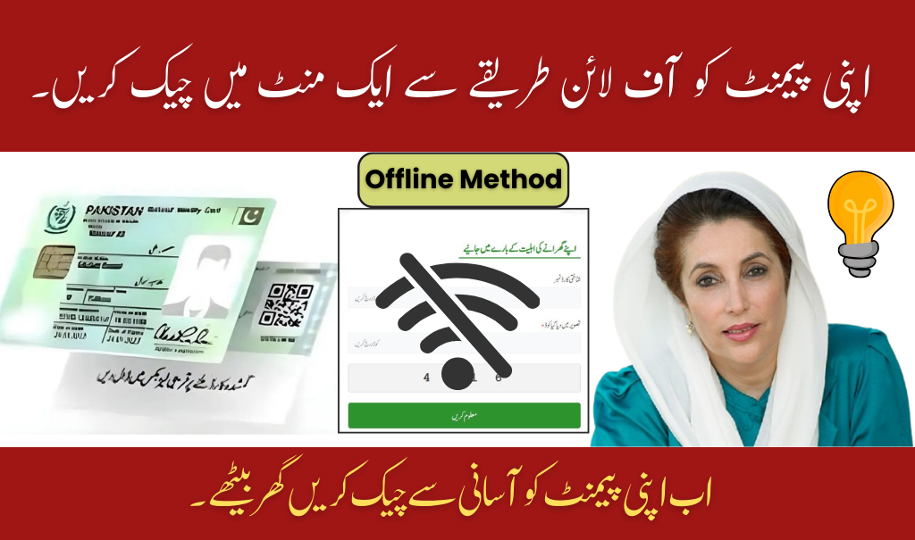 BISP 8171 July 2025 Payment Track Offline